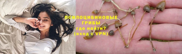 прущие крисы Алзамай